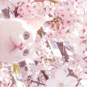 调教男奴喝尿A级毛片
